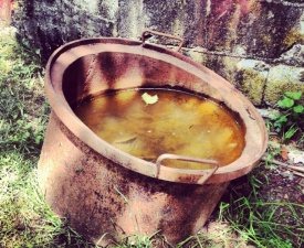 Iron Bucket Marina de Almeida Prado